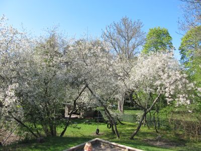 Irsta förskola